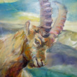 SONY DSC